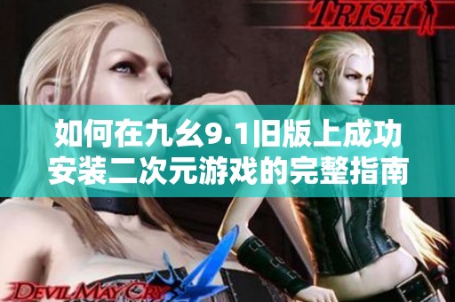 如何在九幺9.1旧版上成功安装二次元游戏的完整指南