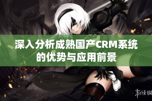 深入分析成熟国产CRM系统的优势与应用前景