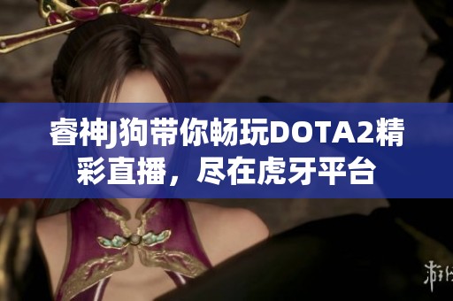 睿神J狗带你畅玩DOTA2精彩直播，尽在虎牙平台