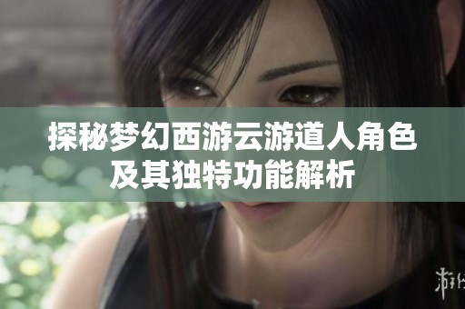 探秘梦幻西游云游道人角色及其独特功能解析