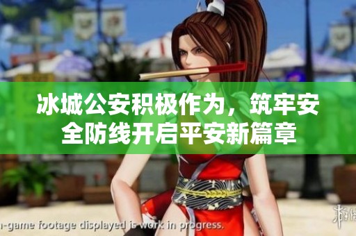 冰城公安积极作为，筑牢安全防线开启平安新篇章