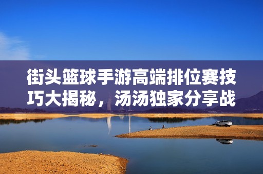 街头篮球手游高端排位赛技巧大揭秘，汤汤独家分享战术解析