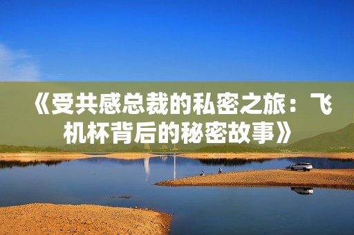 《受共感总裁的私密之旅：飞机杯背后的秘密故事》