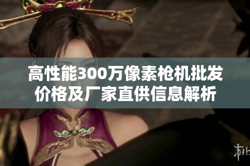 高性能300万像素枪机批发价格及厂家直供信息解析