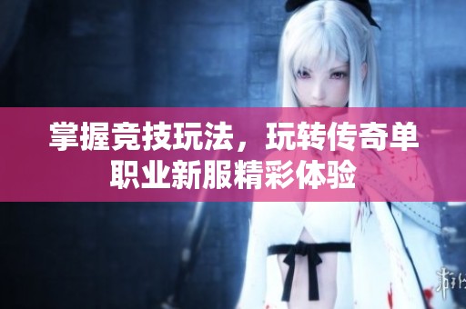 掌握竞技玩法，玩转传奇单职业新服精彩体验