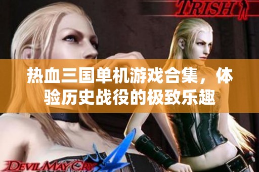 热血三国单机游戏合集，体验历史战役的极致乐趣