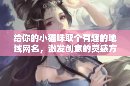 给你的小猫咪取个有趣的地域网名，激发创意的灵感方法