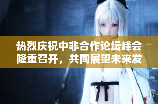 热烈庆祝中非合作论坛峰会隆重召开，共同展望未来发展