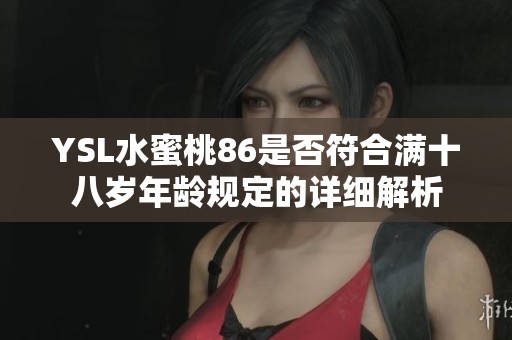 YSL水蜜桃86是否符合满十八岁年龄规定的详细解析