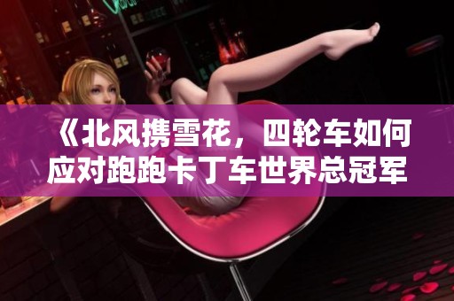 《北风携雪花，四轮车如何应对跑跑卡丁车世界总冠军的挑战》