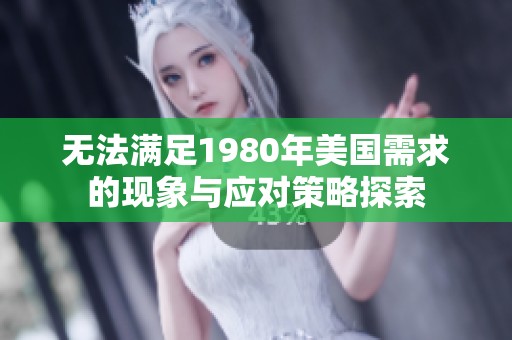 无法满足1980年美国需求的现象与应对策略探索