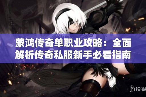 蒙鸿传奇单职业攻略：全面解析传奇私服新手必看指南