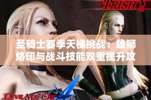 圣骑士赛季天梯挑战：雄狮烙印与战斗技能双重提升攻略