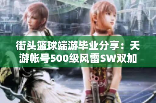 街头篮球端游毕业分享：天游帐号500级风雷SW双加攻略