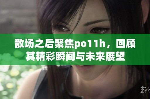 散场之后聚焦po11h，回顾其精彩瞬间与未来展望