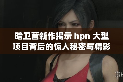 暗卫营新作揭示 hpn 大型项目背后的惊人秘密与精彩亮点