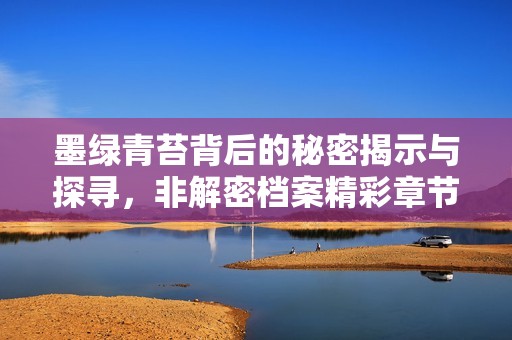 墨绿青苔背后的秘密揭示与探寻，非解密档案精彩章节全解析