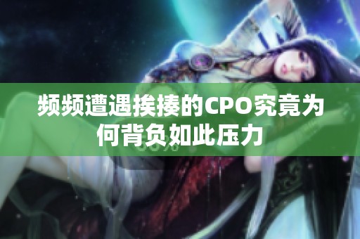 频频遭遇挨揍的CPO究竟为何背负如此压力