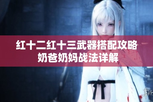 红十二红十三武器搭配攻略 奶爸奶妈战法详解