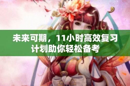 未来可期，11小时高效复习计划助你轻松备考