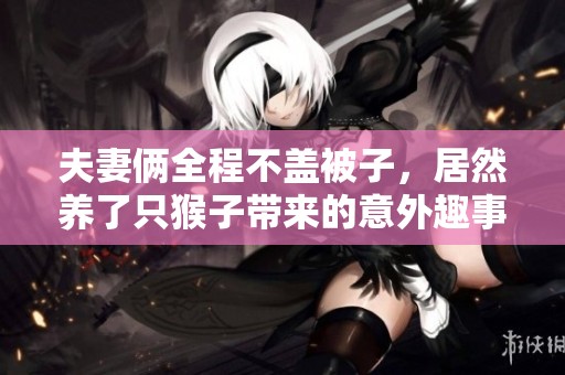夫妻俩全程不盖被子，居然养了只猴子带来的意外趣事