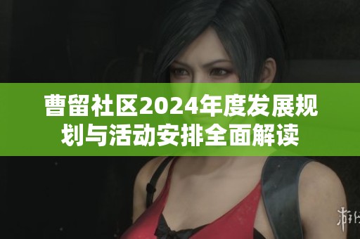 曹留社区2024年度发展规划与活动安排全面解读