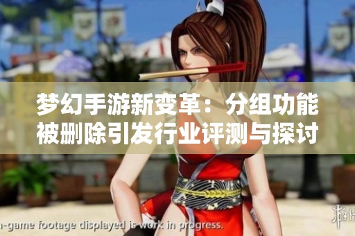梦幻手游新变革：分组功能被删除引发行业评测与探讨