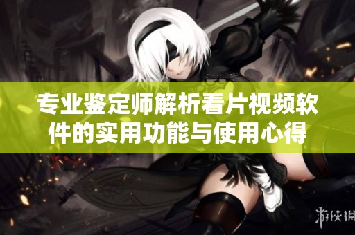 专业鉴定师解析看片视频软件的实用功能与使用心得