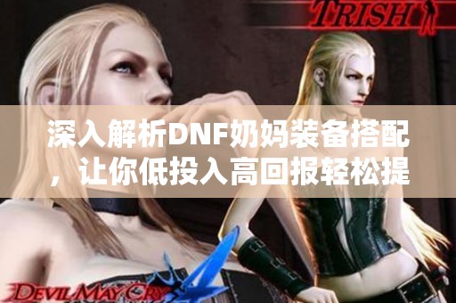 深入解析DNF奶妈装备搭配，让你低投入高回报轻松提升实力