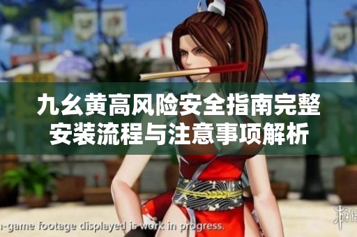 九幺黄高风险安全指南完整安装流程与注意事项解析
