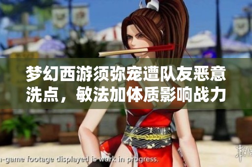 梦幻西游须弥宠遭队友恶意洗点，敏法加体质影响战力如何应对