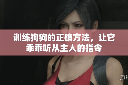 训练狗狗的正确方法，让它乖乖听从主人的指令
