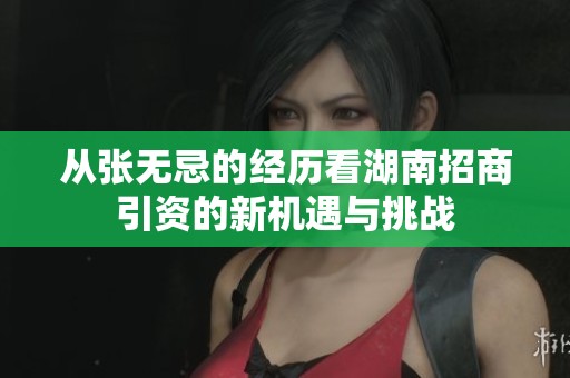 从张无忌的经历看湖南招商引资的新机遇与挑战