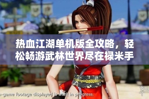 热血江湖单机版全攻略，轻松畅游武林世界尽在禄米手游网