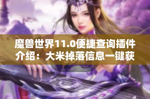 魔兽世界11.0便捷查询插件介绍：大米掉落信息一键获取技巧