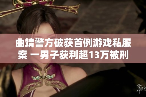 曲靖警方破获首例游戏私服案 一男子获利超13万被刑拘