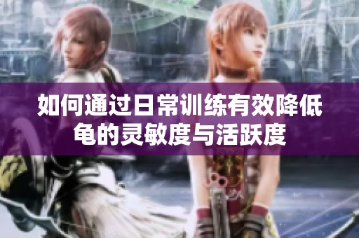 如何通过日常训练有效降低龟的灵敏度与活跃度