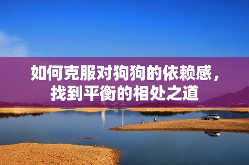如何克服对狗狗的依赖感，找到平衡的相处之道