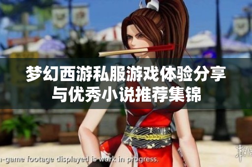 梦幻西游私服游戏体验分享与优秀小说推荐集锦