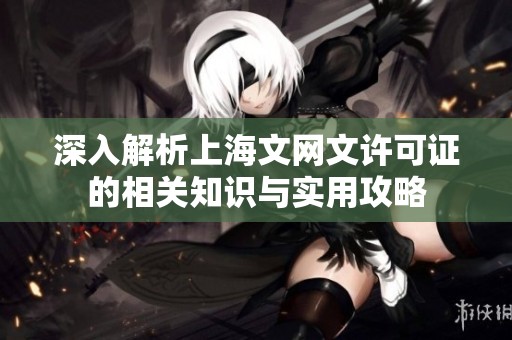 深入解析上海文网文许可证的相关知识与实用攻略