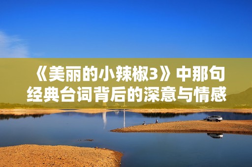 《美丽的小辣椒3》中那句经典台词背后的深意与情感探讨