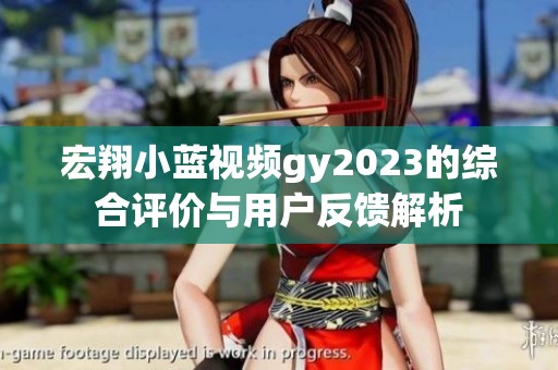 宏翔小蓝视频gy2023的综合评价与用户反馈解析