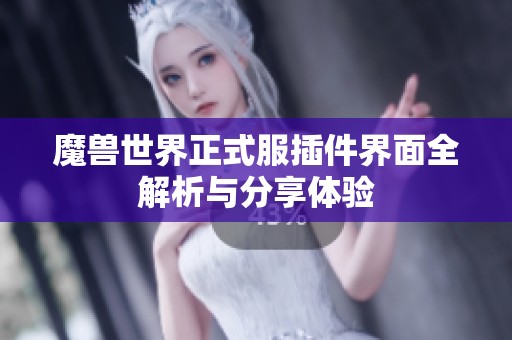 魔兽世界正式服插件界面全解析与分享体验