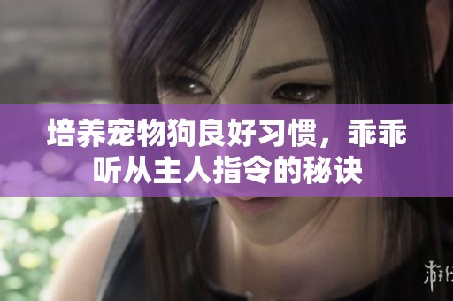 培养宠物狗良好习惯，乖乖听从主人指令的秘诀