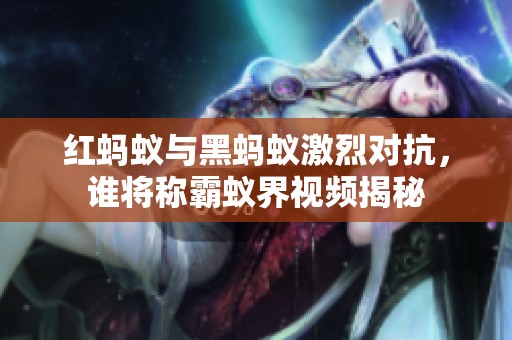 红蚂蚁与黑蚂蚁激烈对抗，谁将称霸蚁界视频揭秘