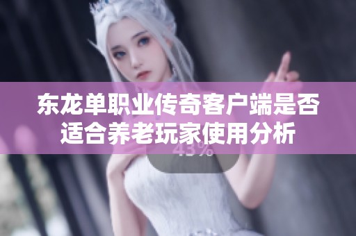 东龙单职业传奇客户端是否适合养老玩家使用分析