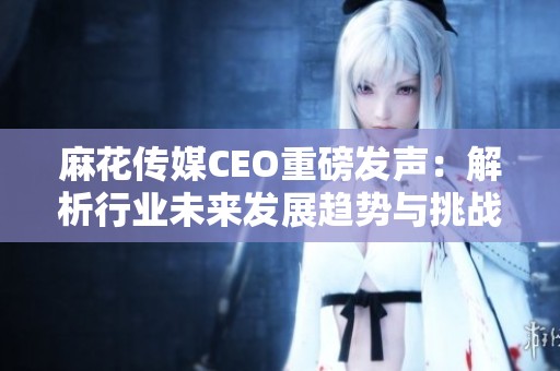 麻花传媒CEO重磅发声：解析行业未来发展趋势与挑战