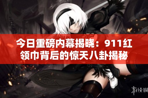 今日重磅内幕揭晓：911红领巾背后的惊天八卦揭秘