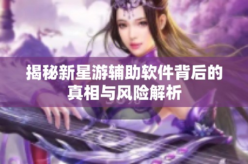 揭秘新星游辅助软件背后的真相与风险解析