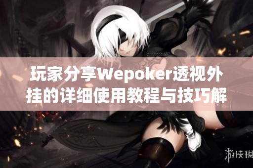 玩家分享Wepoker透视外挂的详细使用教程与技巧解析